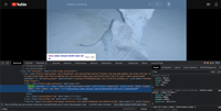 A Youtube page with the dev tools window open at the bottom of the page. The video on the page is highlighted at the top of the page and at the bottom in the HTML.
